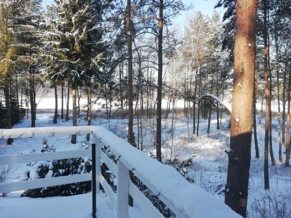 Sosnowy Azyl Villa Wąglikowice Exteriör bild