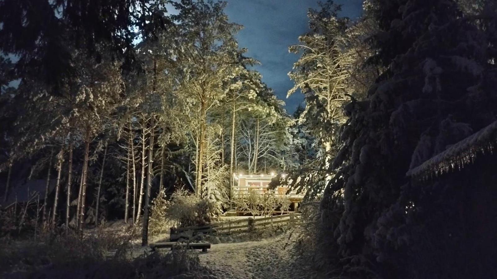 Sosnowy Azyl Villa Wąglikowice Exteriör bild