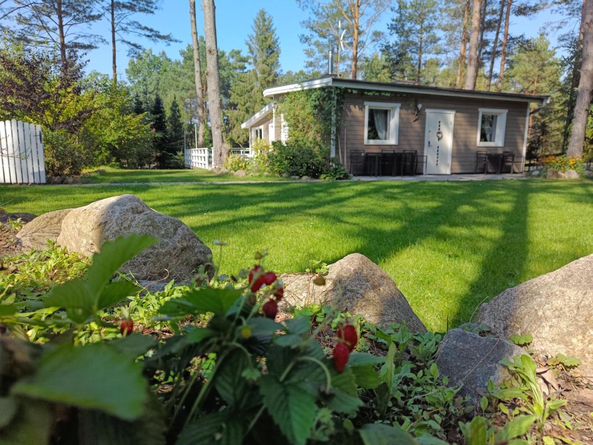 Sosnowy Azyl Villa Wąglikowice Exteriör bild