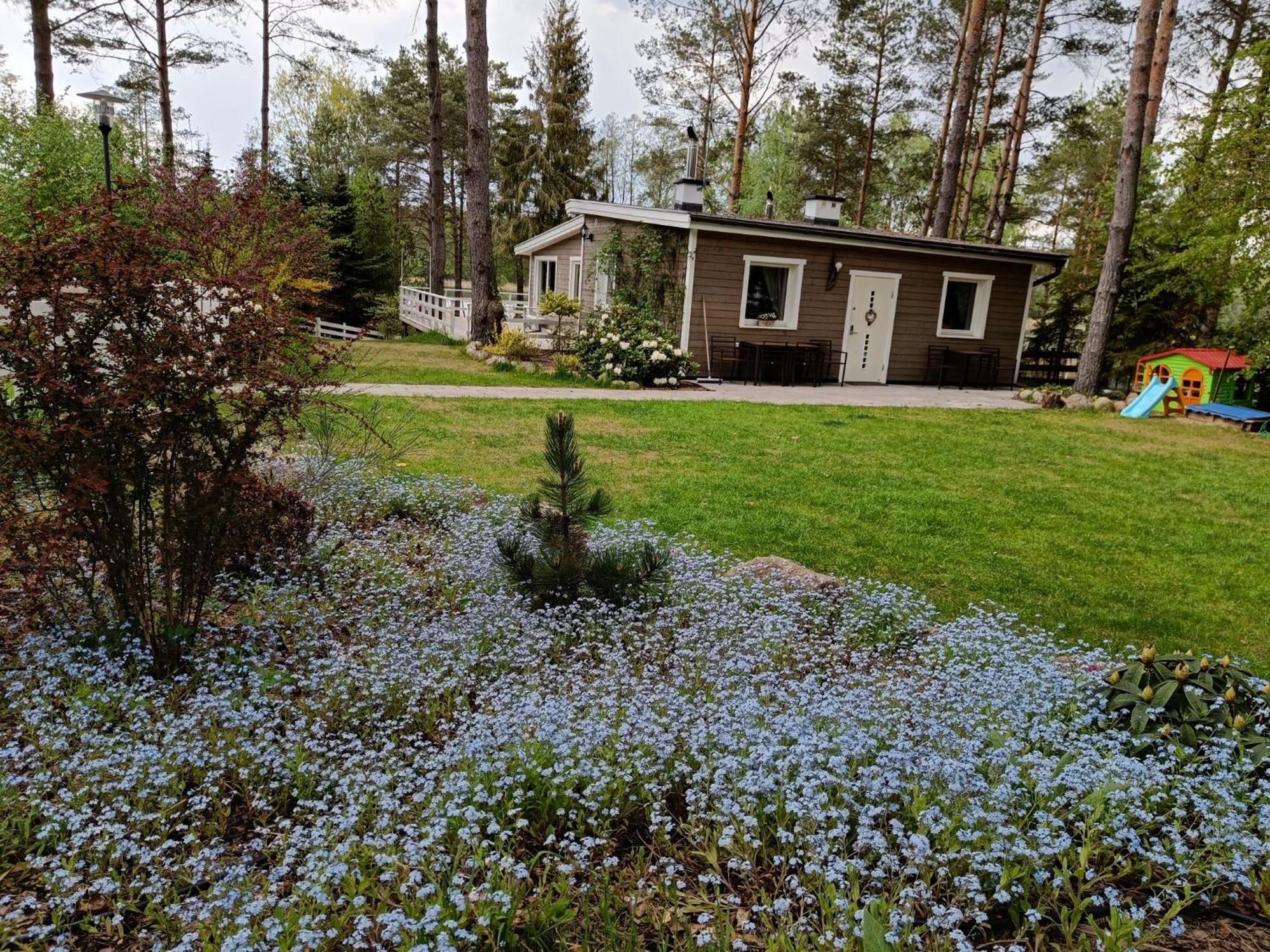 Sosnowy Azyl Villa Wąglikowice Exteriör bild