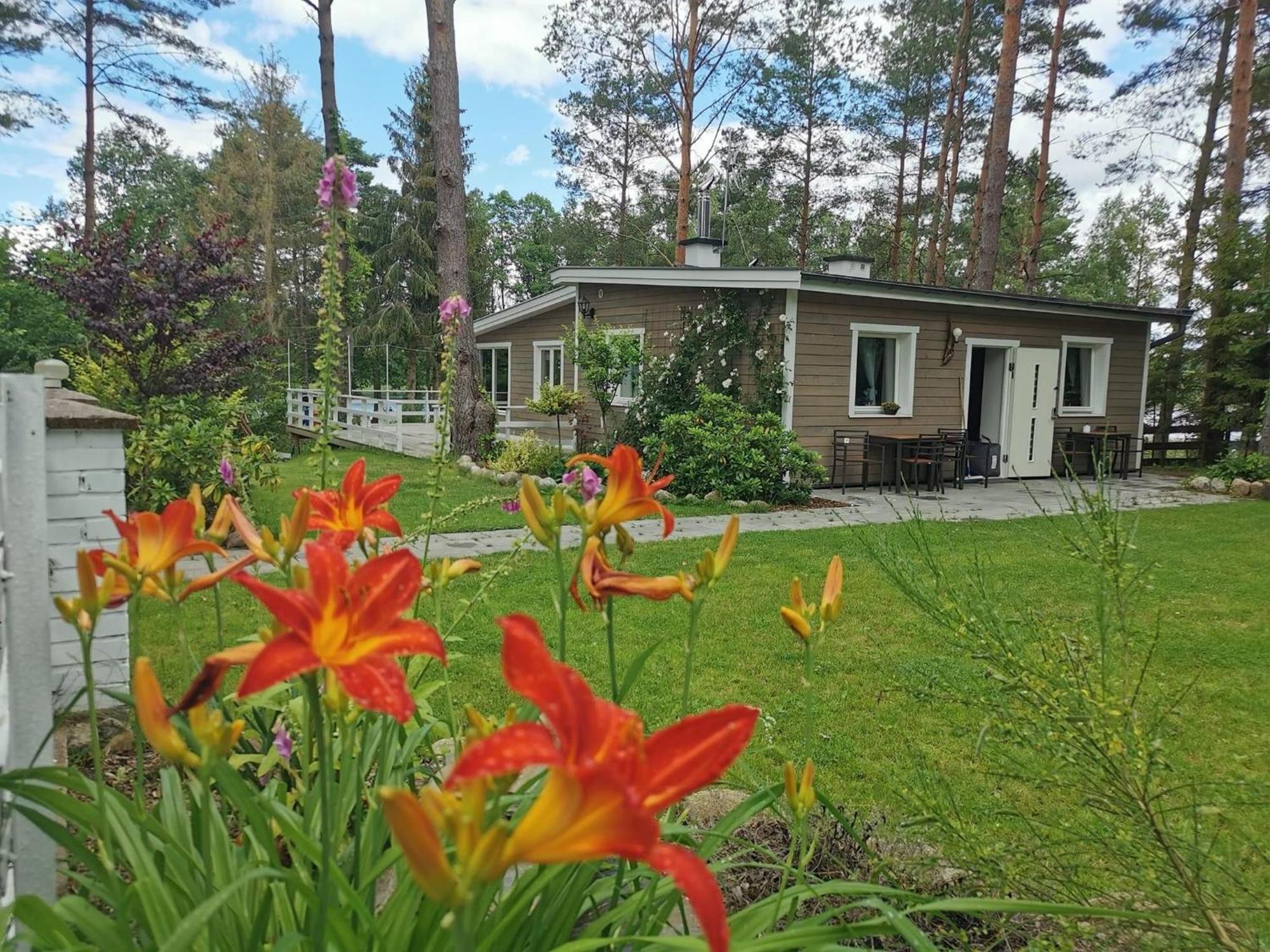 Sosnowy Azyl Villa Wąglikowice Exteriör bild