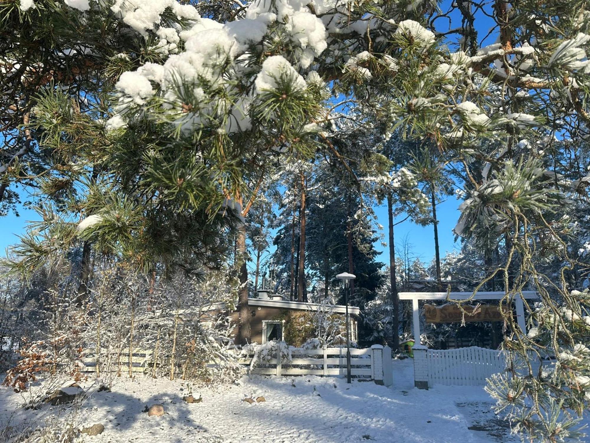 Sosnowy Azyl Villa Wąglikowice Exteriör bild